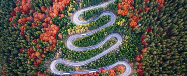 aerial view of winding road and dense forest